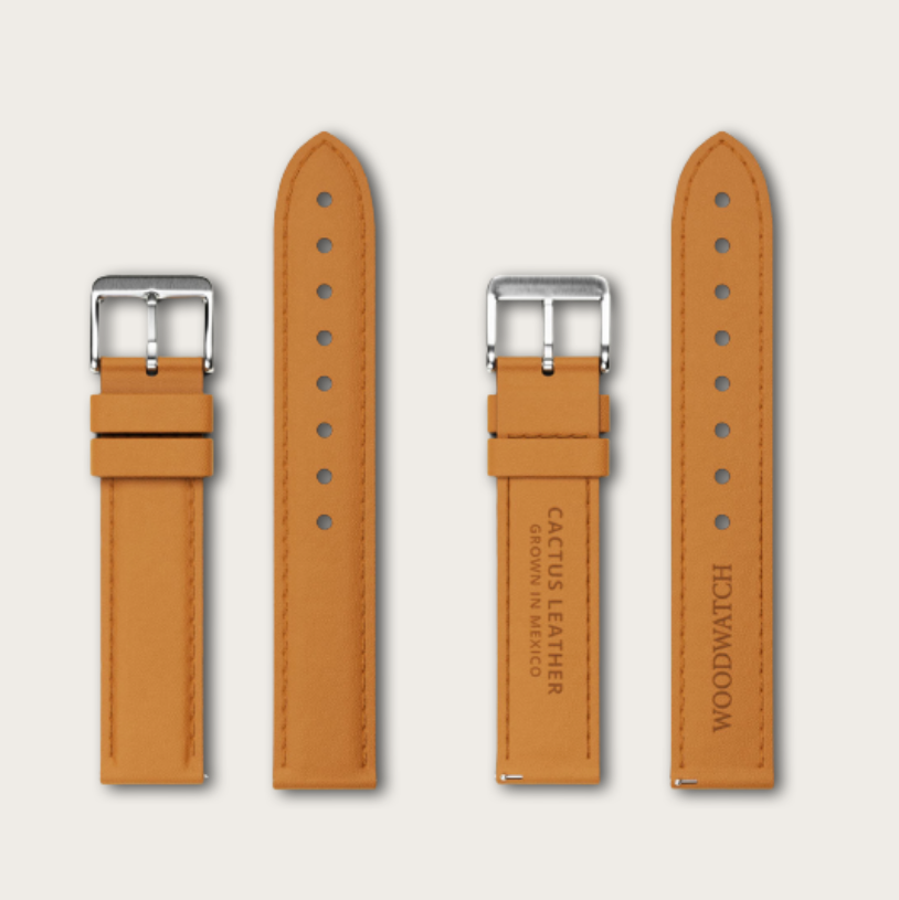 【for men】カクタスレザーベルト / WoodWatch
